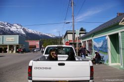 Dogs on the back of a truck in Skagway.jpg
