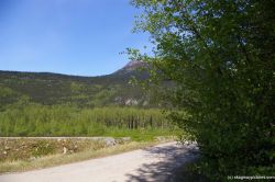 Gold Rush Cemetary in Skagway.jpg