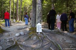 Gold Rush Cemetary in Skagway 3.jpg