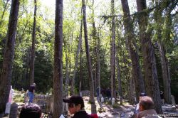 Gold Rush Cemetary in Skagway 6.jpg