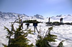 Users Submitted Photos of Skagway