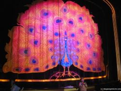 Norwegian Pearl Stardust Theater peacock curtain.jpg
