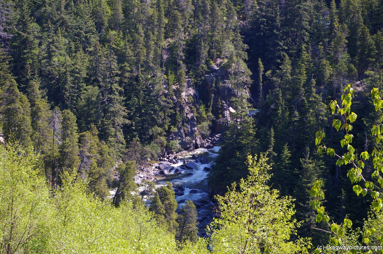 River stream in Skagway Alaska.jpg