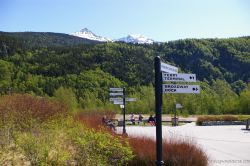 Signs in Skagway.jpg