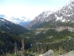 Skagway landscape from mountain road.jpg