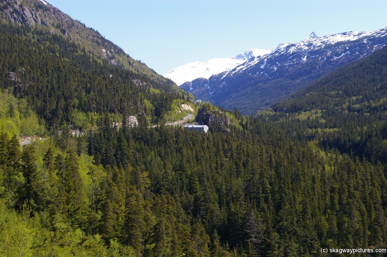 Trees and mountains in Skagway Alaska.jpg