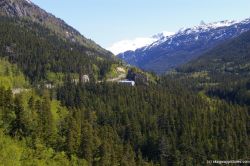 Trees and mountains in Skagway Alaska.jpg