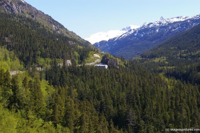 Trees and mountains in Skagway Alaska.jpg