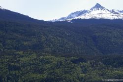 Trees line base of Skagway mountain.jpg